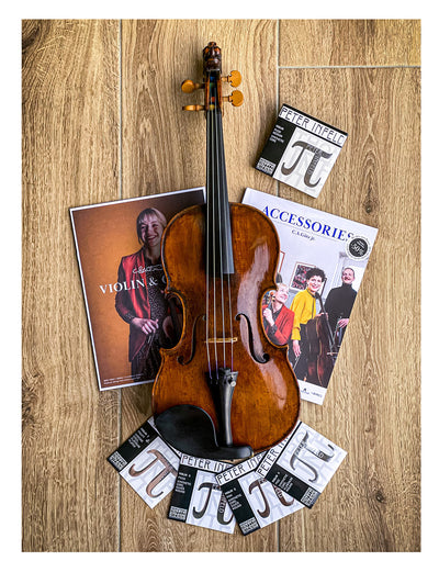 Guarneri Kinnhalter Violine Ebenholz