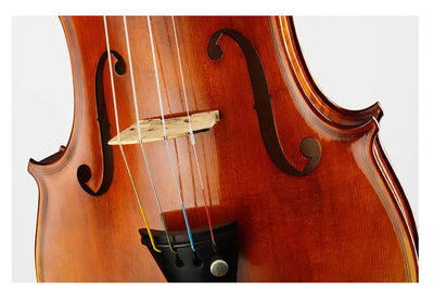 CONTEMPORARY Violin #108 CT