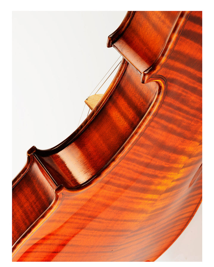 CONTEMPORARY Violine 