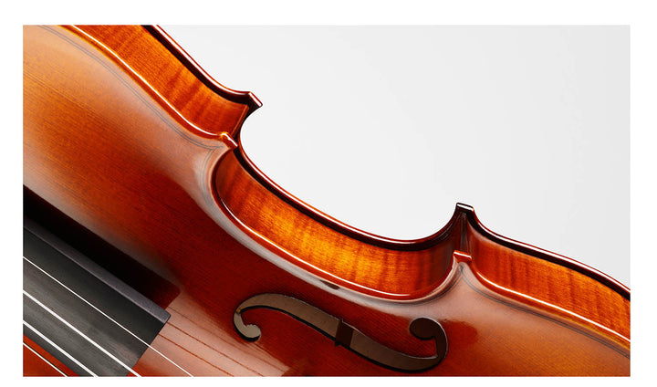 METROPOL Violine 