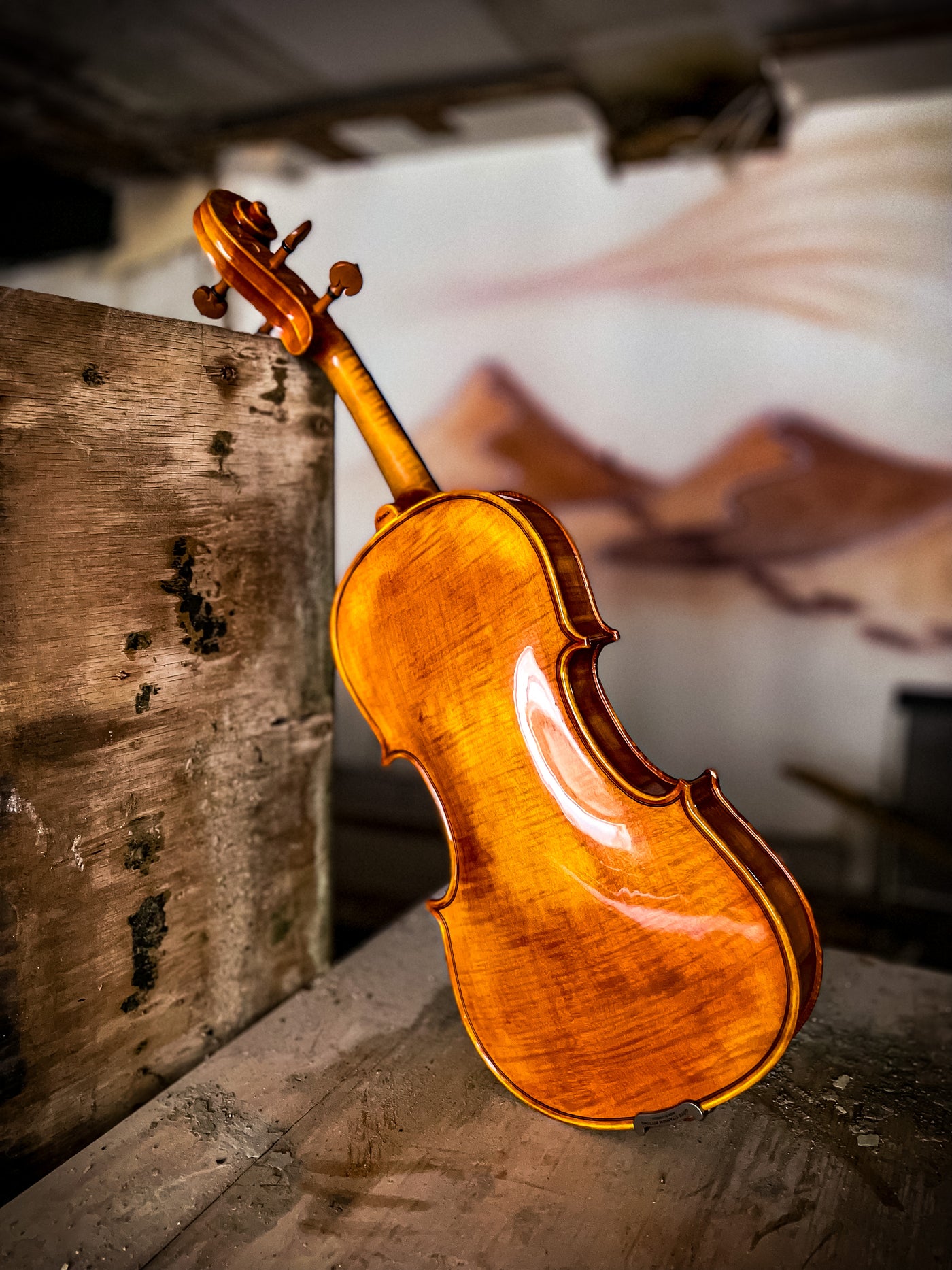 CANTONATE Violin #125F CA