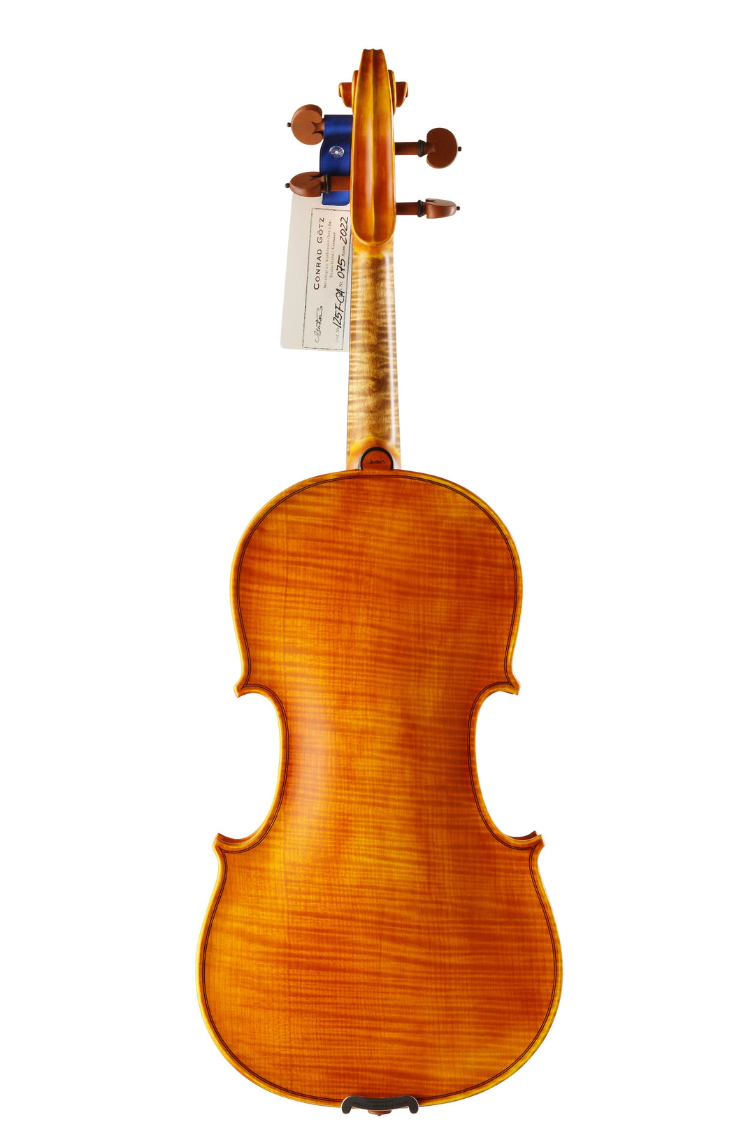 CANTONATE Violine 