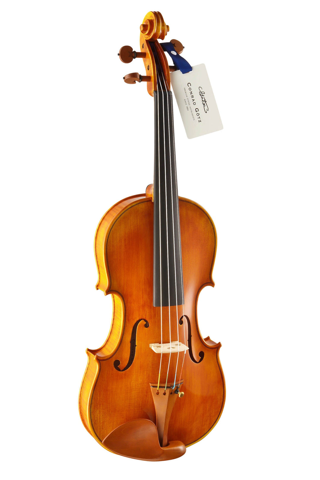 CANTONATE Violine 