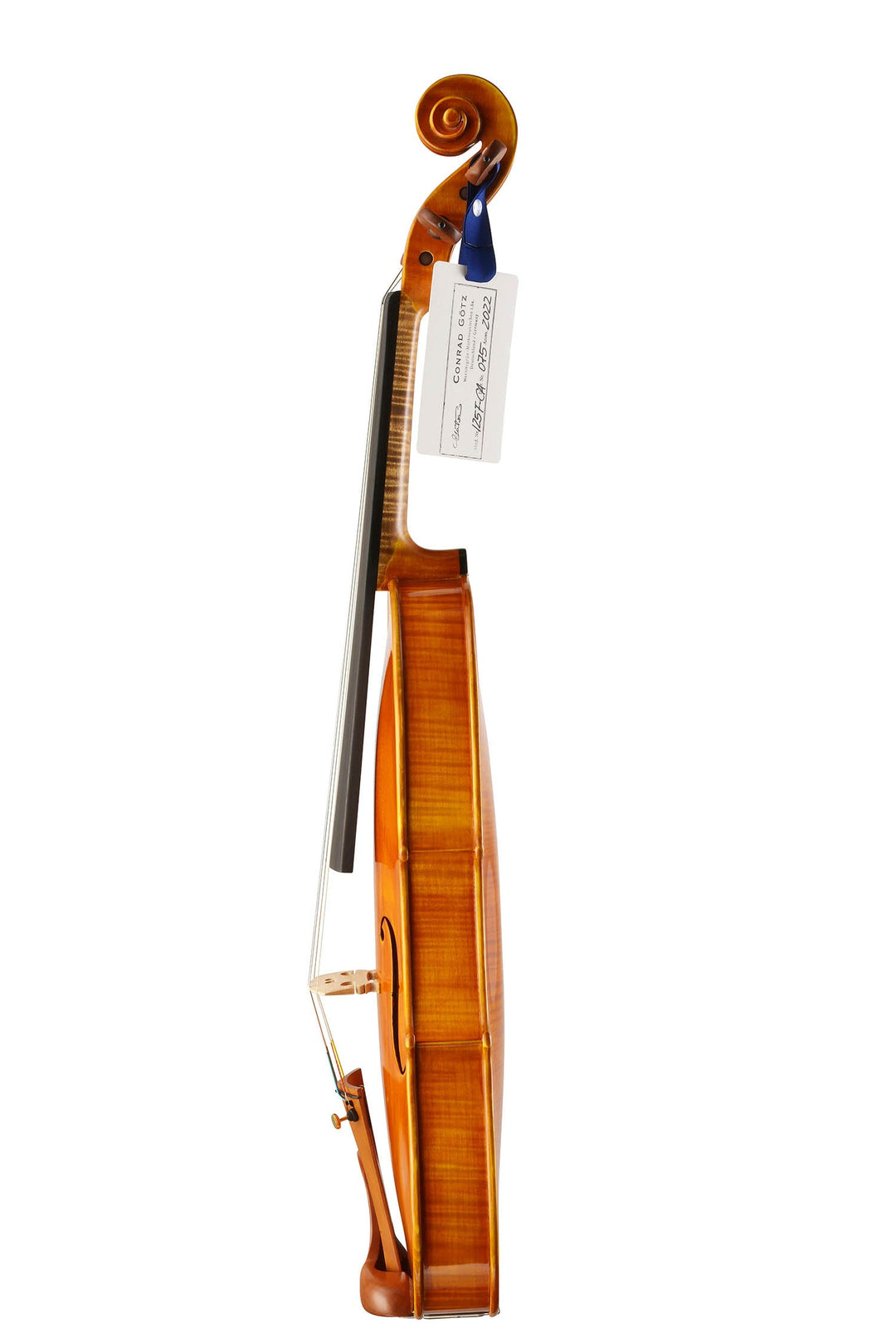CANTONATE Violine 
