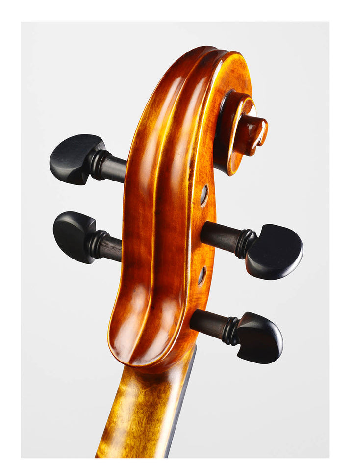 ❤ CONTEMPORARY Violine mit ganzem Boden 