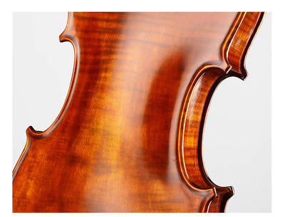 ❤ CONTEMPORARY Violine mit ganzem Boden #125F CT