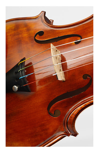 ❤ CONTEMPORARY Violine mit ganzem Boden #125F CT