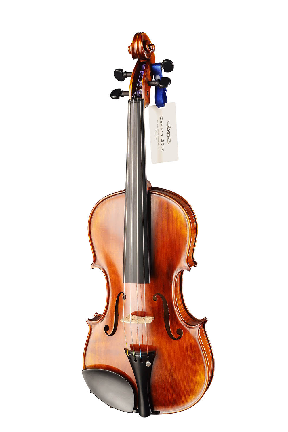 ❤ CONTEMPORARY Violine mit ganzem Boden 