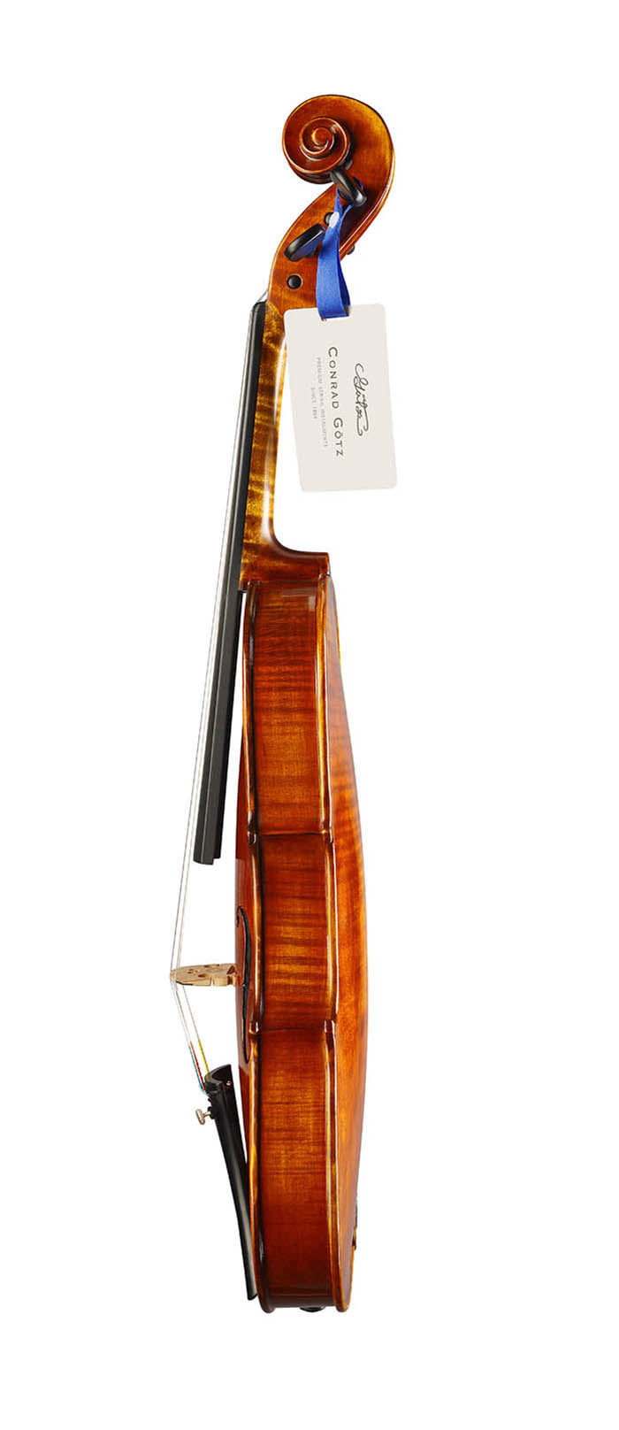 ❤ CONTEMPORARY Violine mit ganzem Boden #125F CT