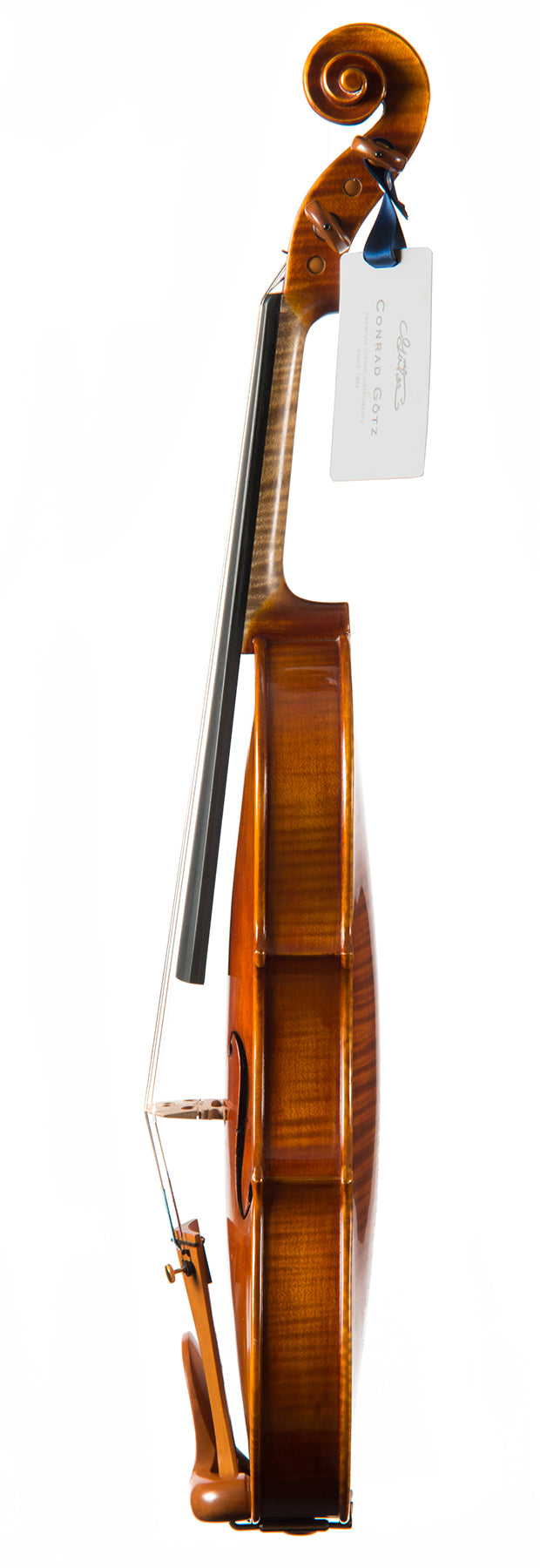 CANTONATE Violin #115 CA