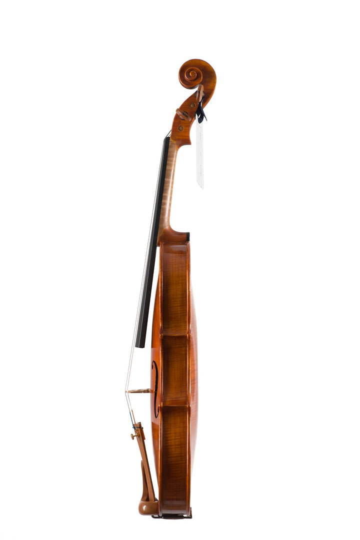 CANTONATE Violine 