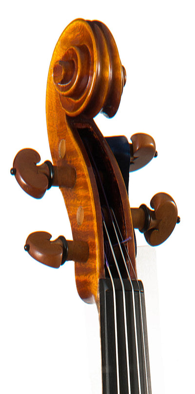 CANTONATE Violin #115 CA