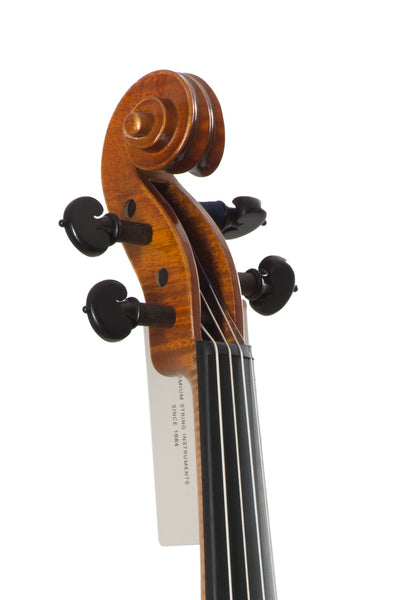 GOLDEN STATE Violine #130 GS
