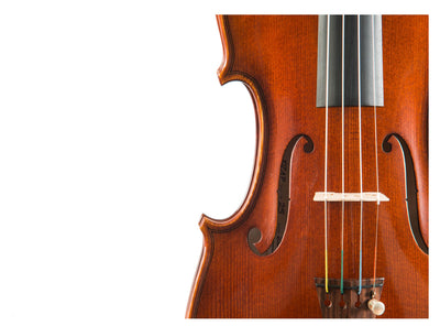 AGAPE Violine #107 AP