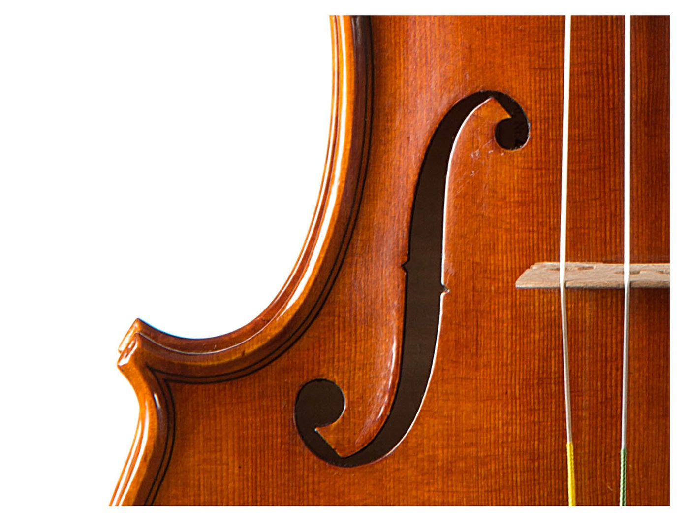 CANTONATE Violin #115 CA