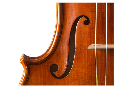 CANTONATE Violin #115 CA