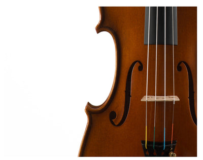 GOLDEN STATE Violine #130 GS