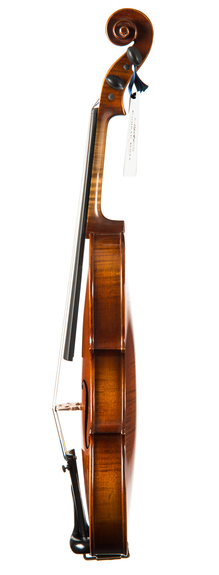 AUDITION Violine 