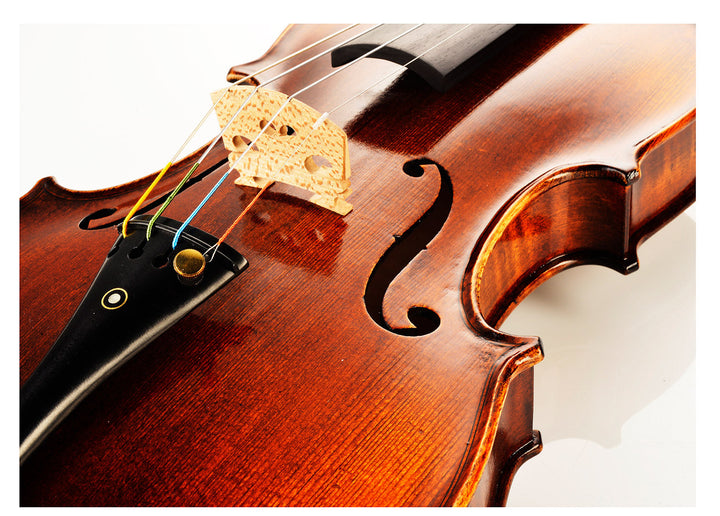 ANTIQUE Violine 