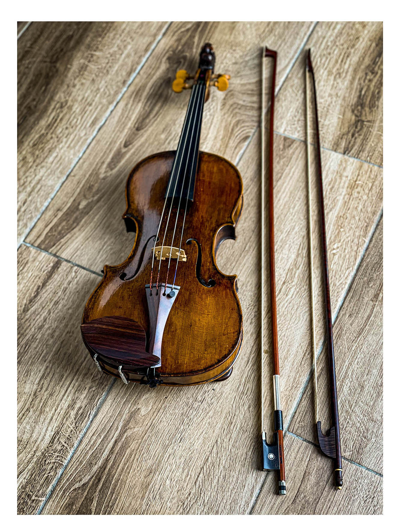 Götz Bogen für Violine 4/4, gutes Fernambuk