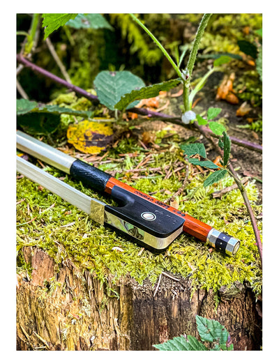 Götz Bow for Viola 4/4, very good Pernambuco, BO-V78-4_4