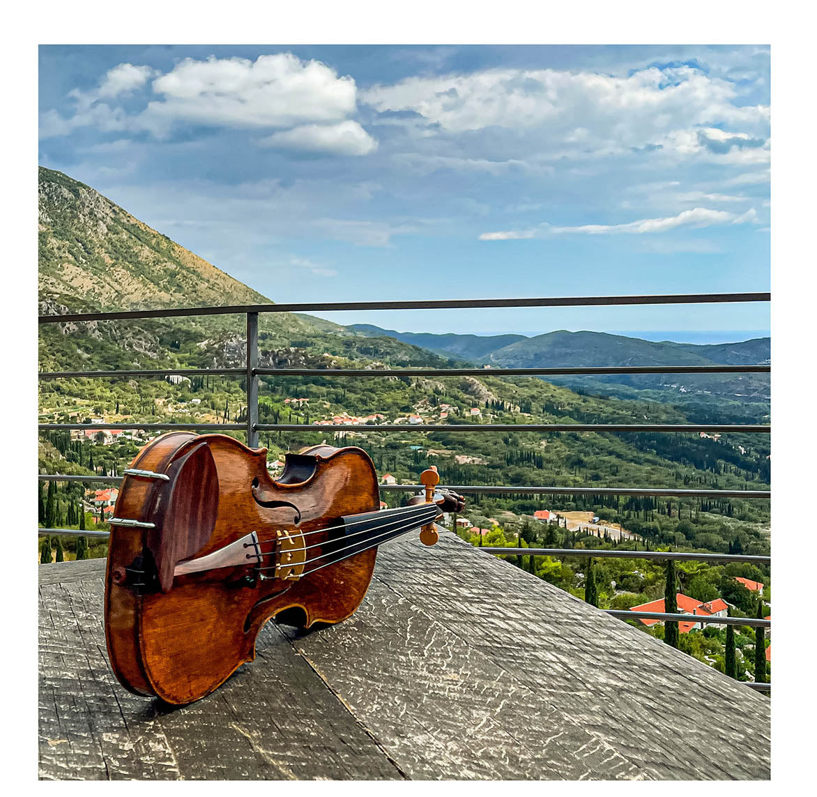 Morawetz Chinrest Violin 4/4 in Rosewood, ZK-4841R-LOW