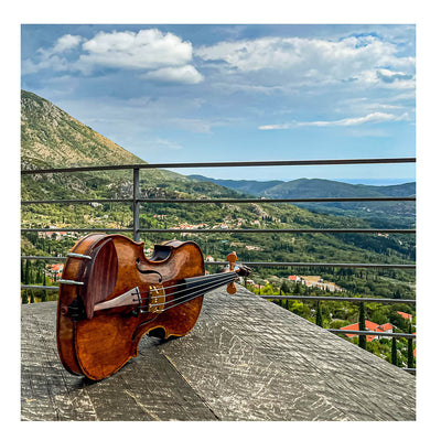 Morawetz Chinrest Violin 4/4 in Rosewood, ZK-4841R-LOW