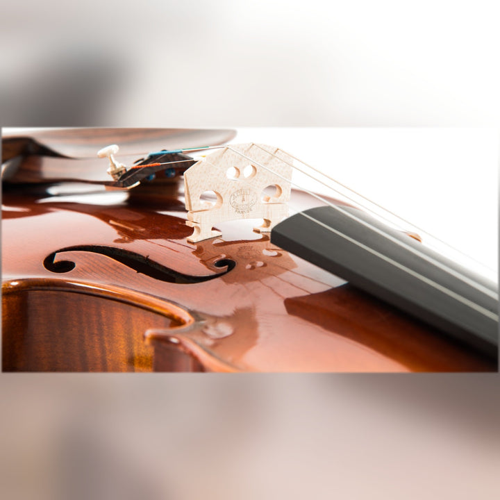 AGAPE Violine 