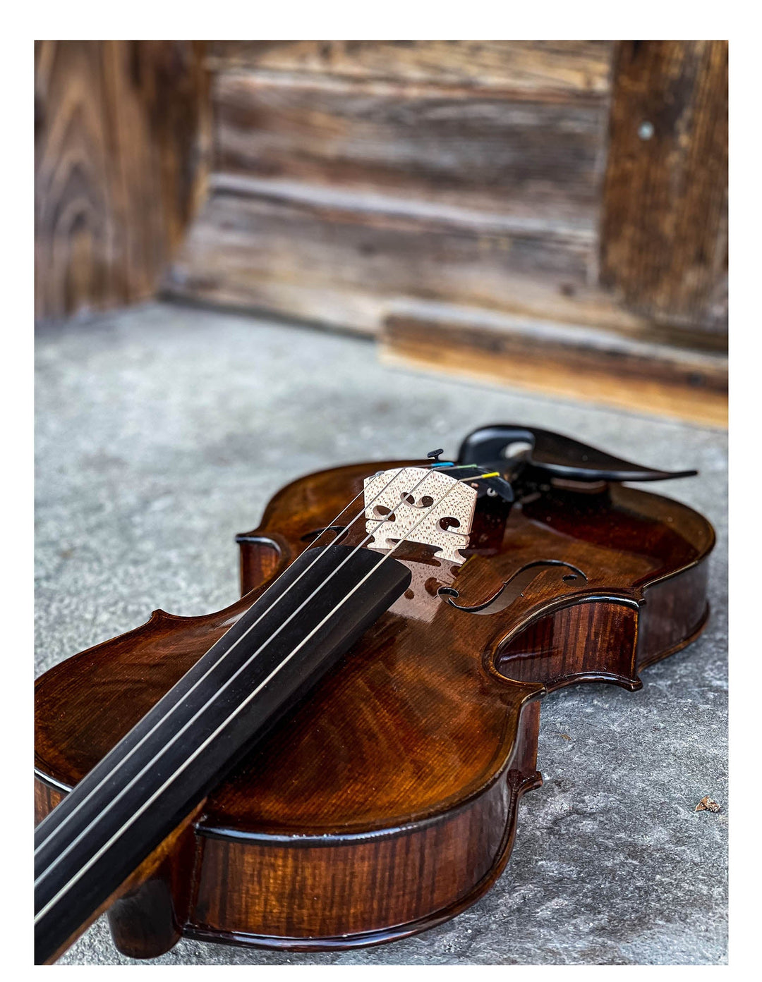 BOHEMIA Violine 