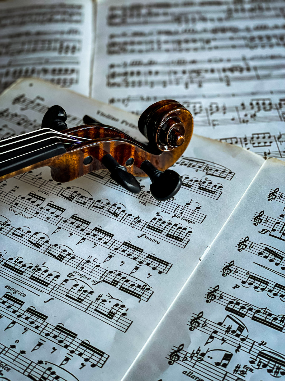 BOHEMIA Violine 