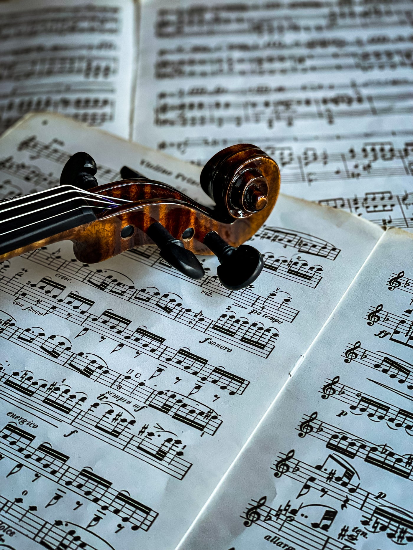 BOHEMIA Violine #110 BO