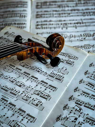 BOHEMIA Violine #110 BO