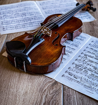 BOHEMIA Violin #110 BO