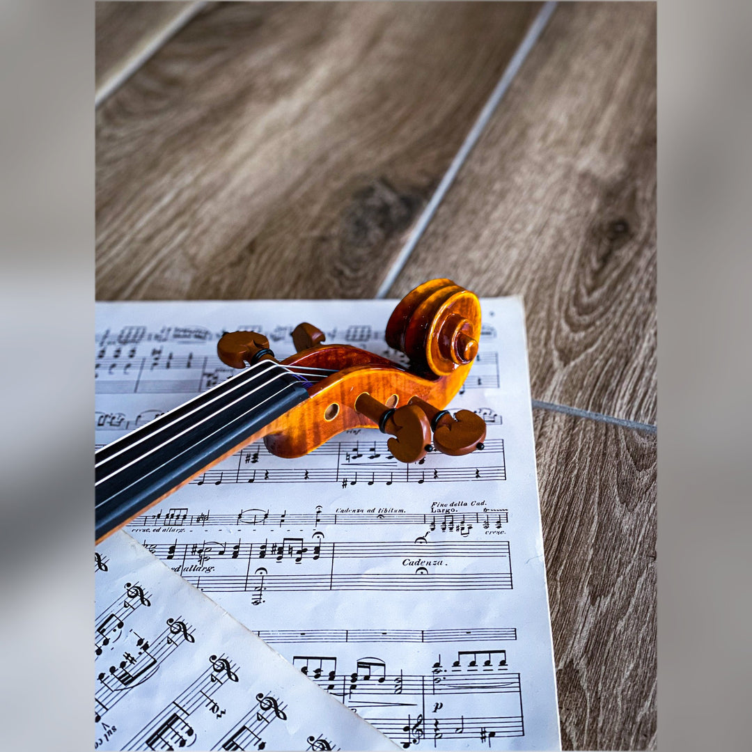 CANTONATE Violine 