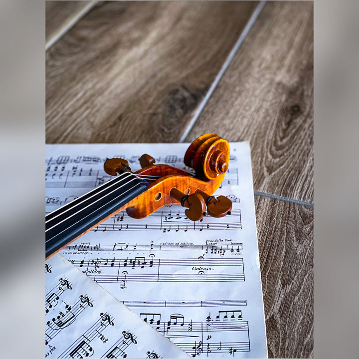 CANTONATE Violine 