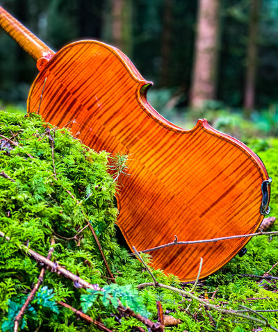 CONTEMPORARY Violin #108 CT