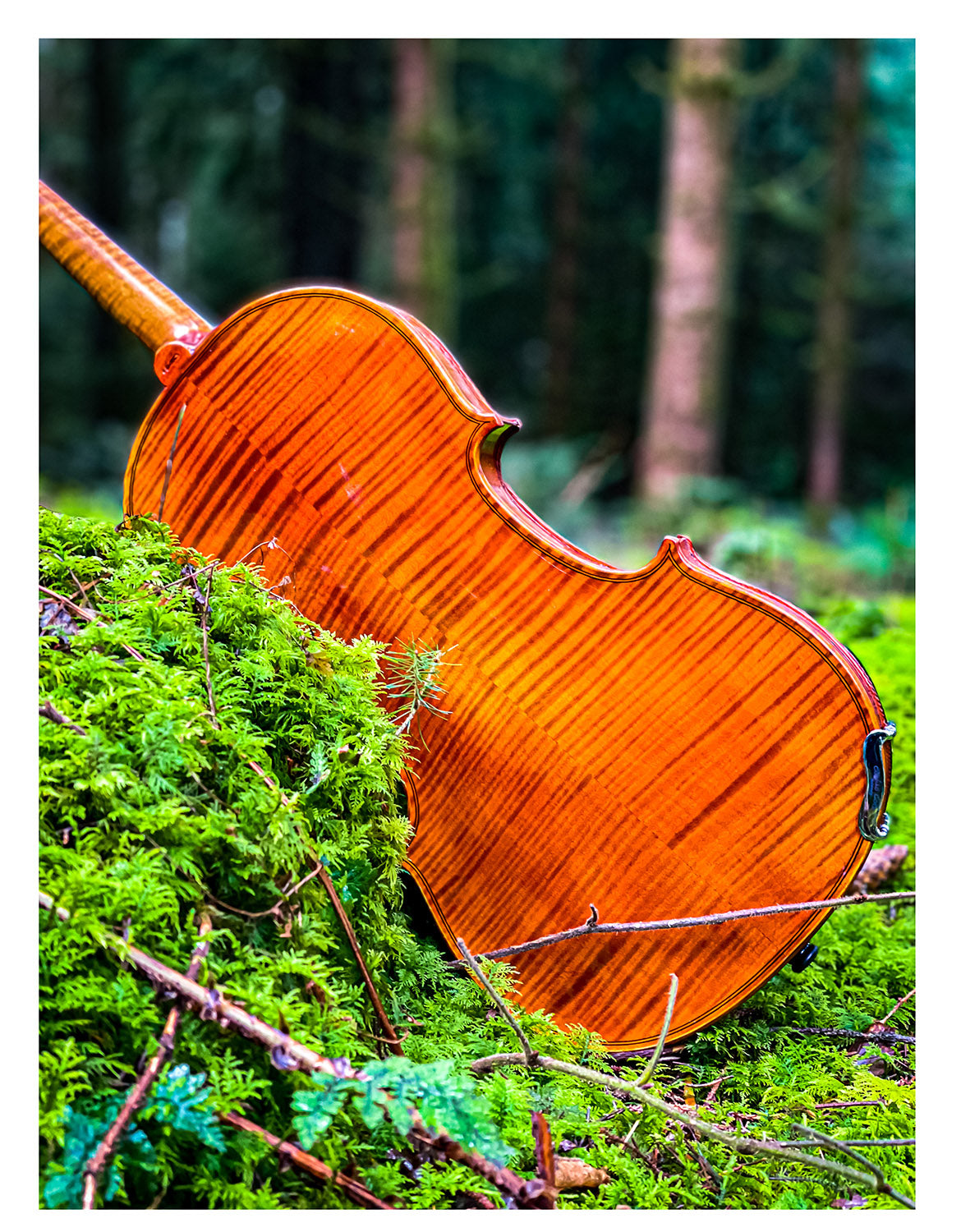CONTEMPORARY Violin #108 CT