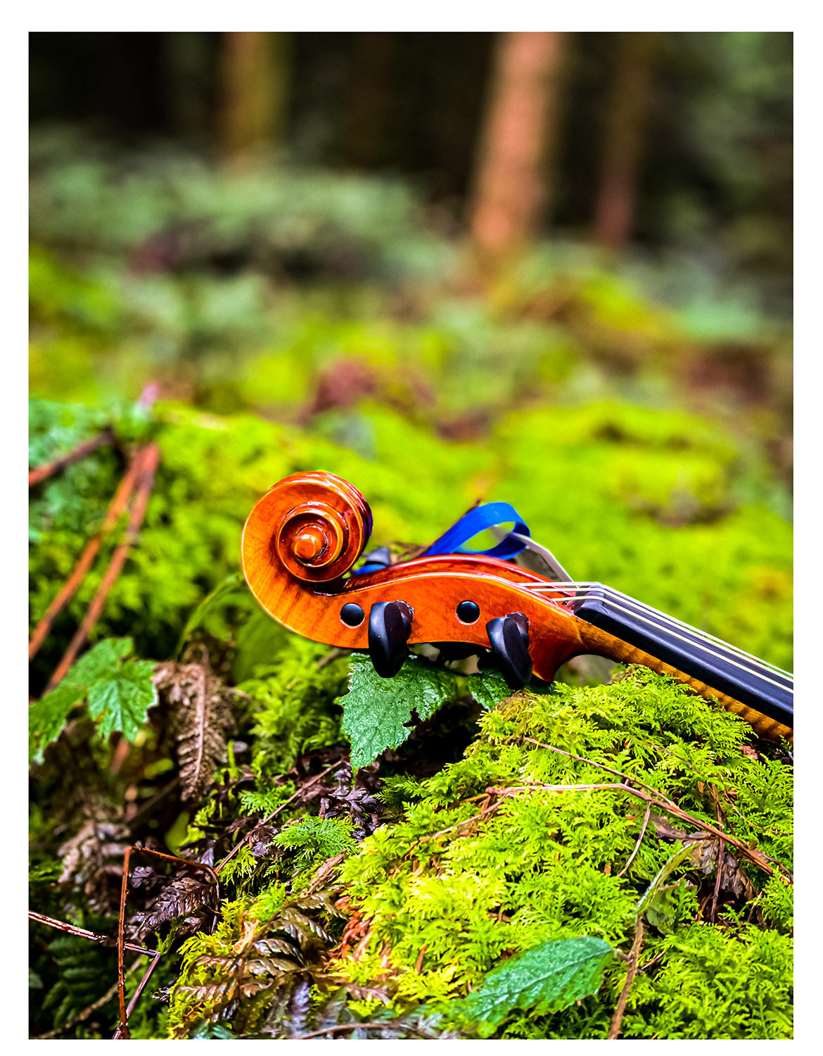 CONTEMPORARY Violin #108 CT