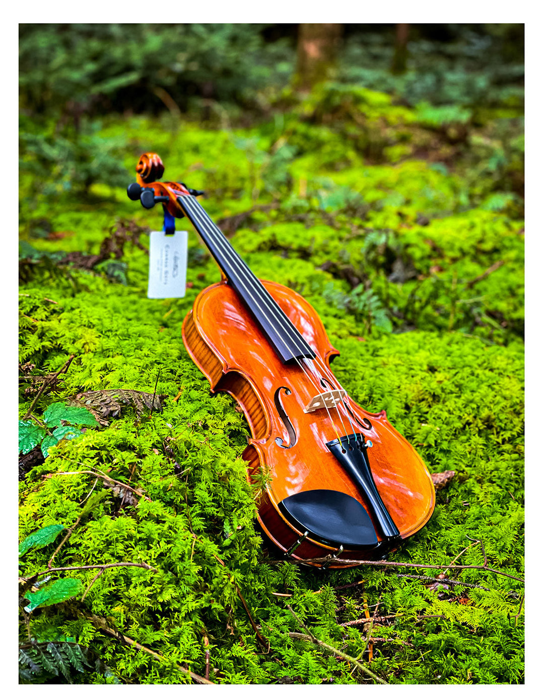 CONTEMPORARY Violine 
