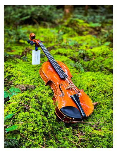 CONTEMPORARY Violin #108 CT