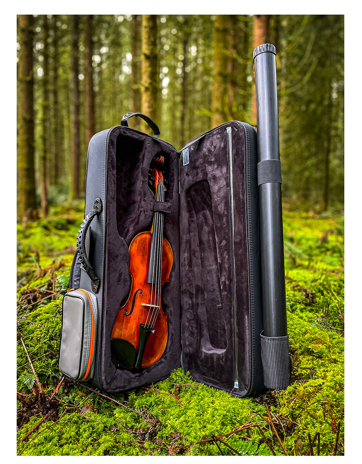 CONTEMPORARY Violin #108 CT