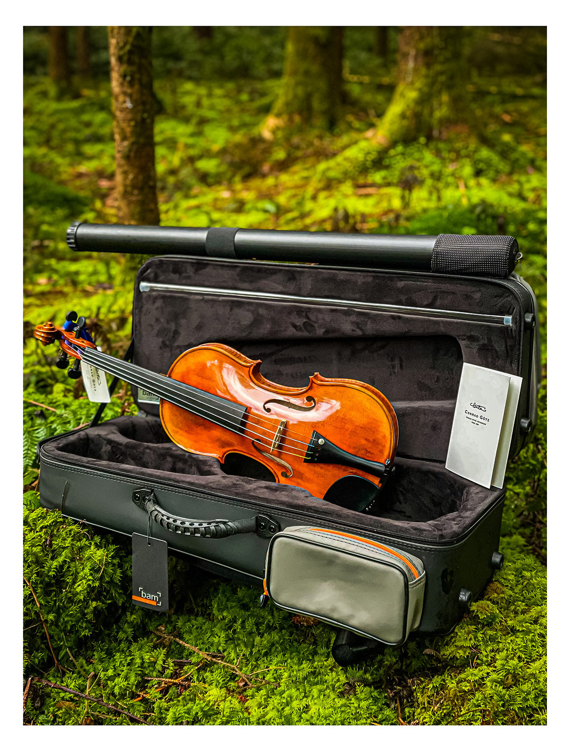 CONTEMPORARY Violin #108 CT