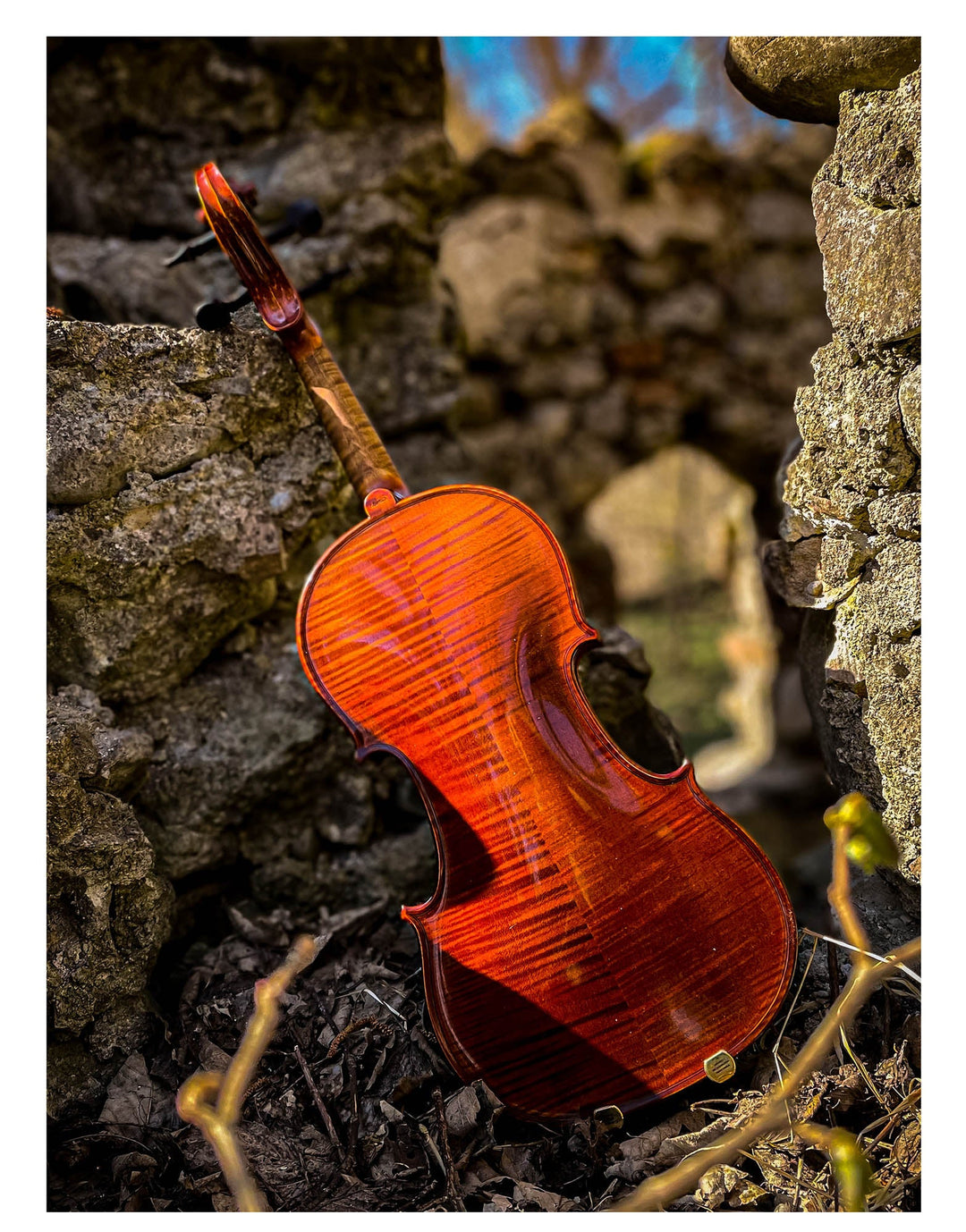 METROPOL Violine 