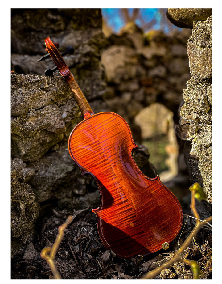 METROPOL Violine 