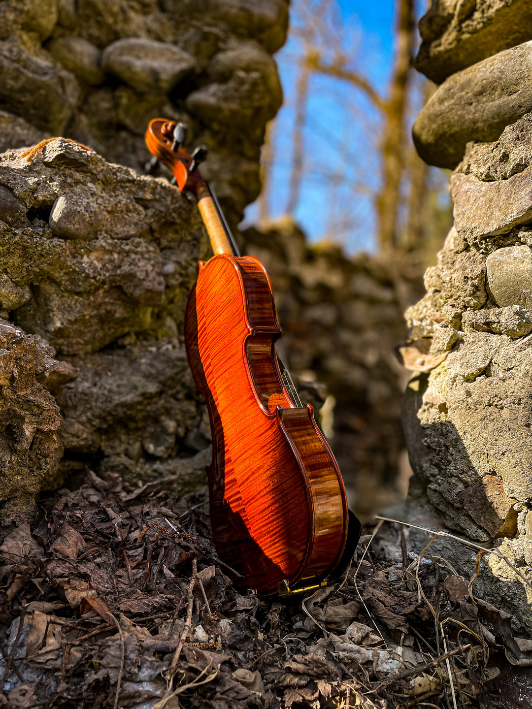 METROPOL Violine 