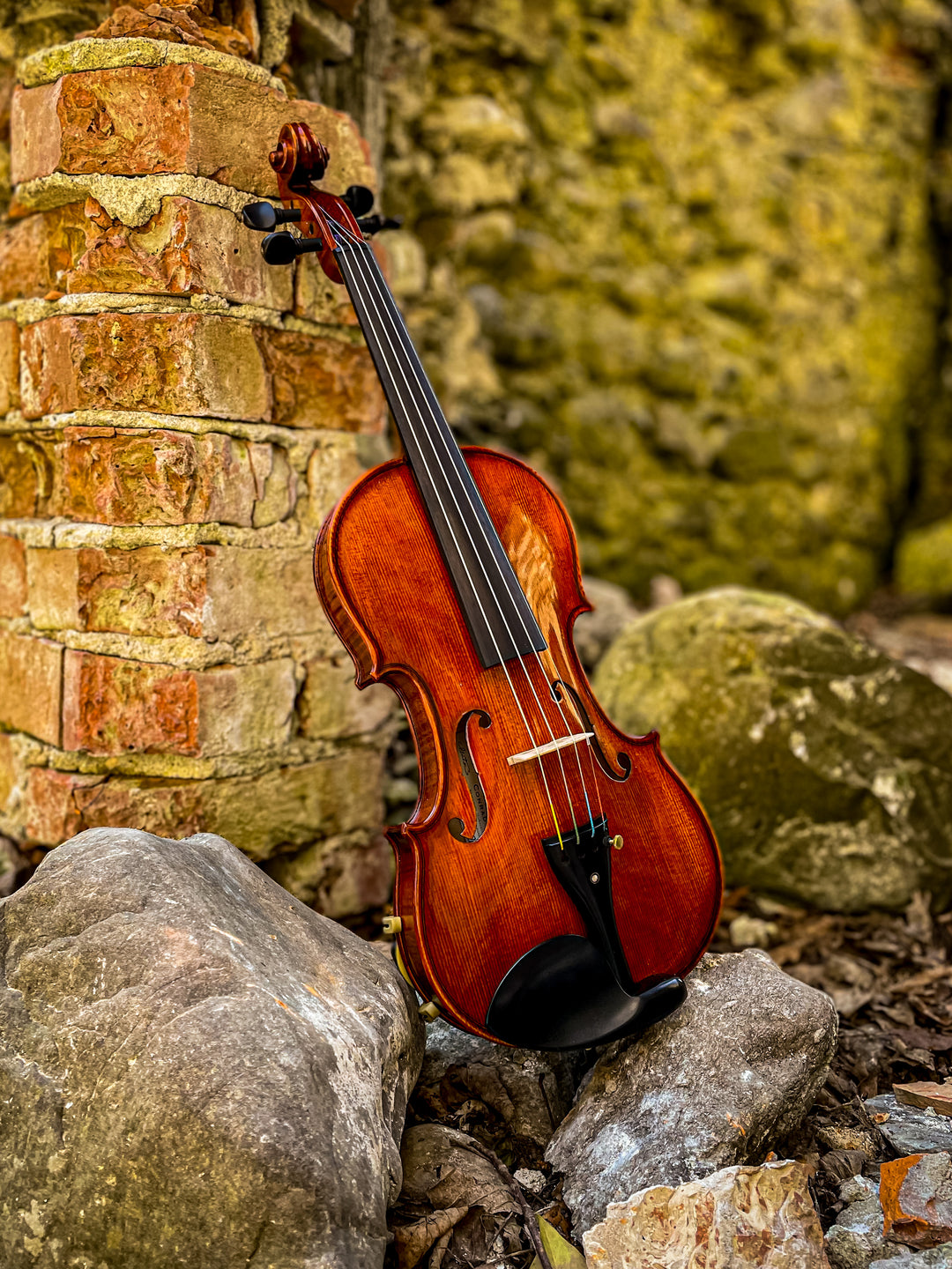 METROPOL Violine 