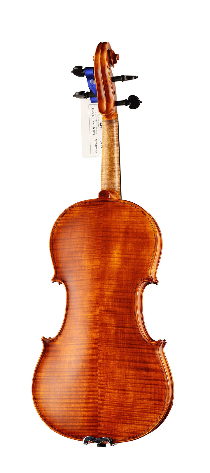GOLDEN STATE Violine 