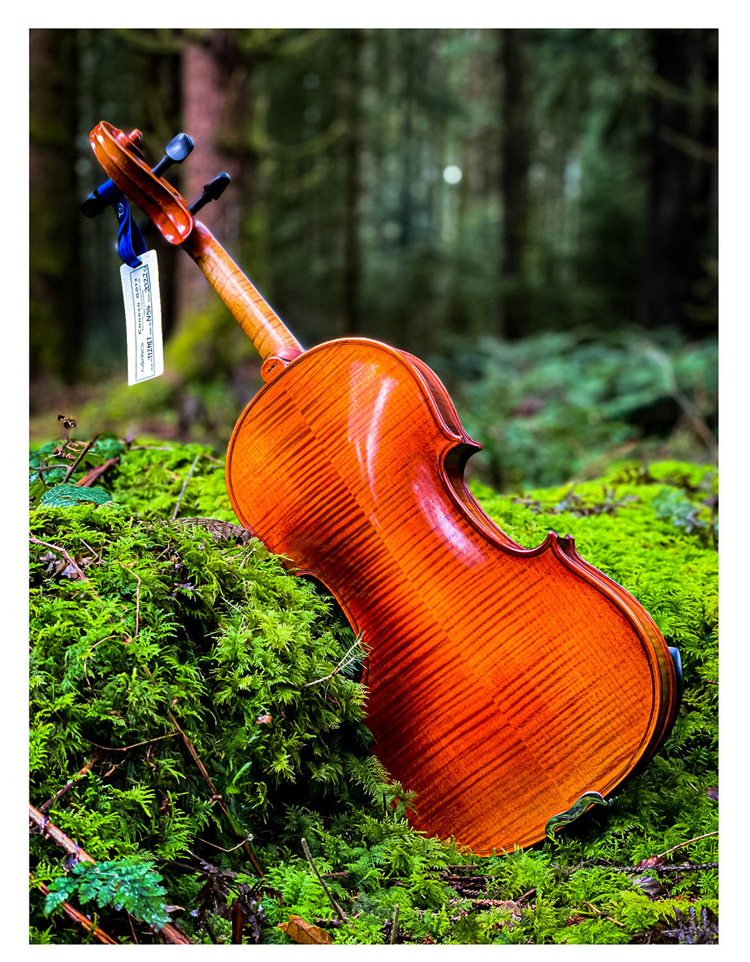 METROPOL Violine 