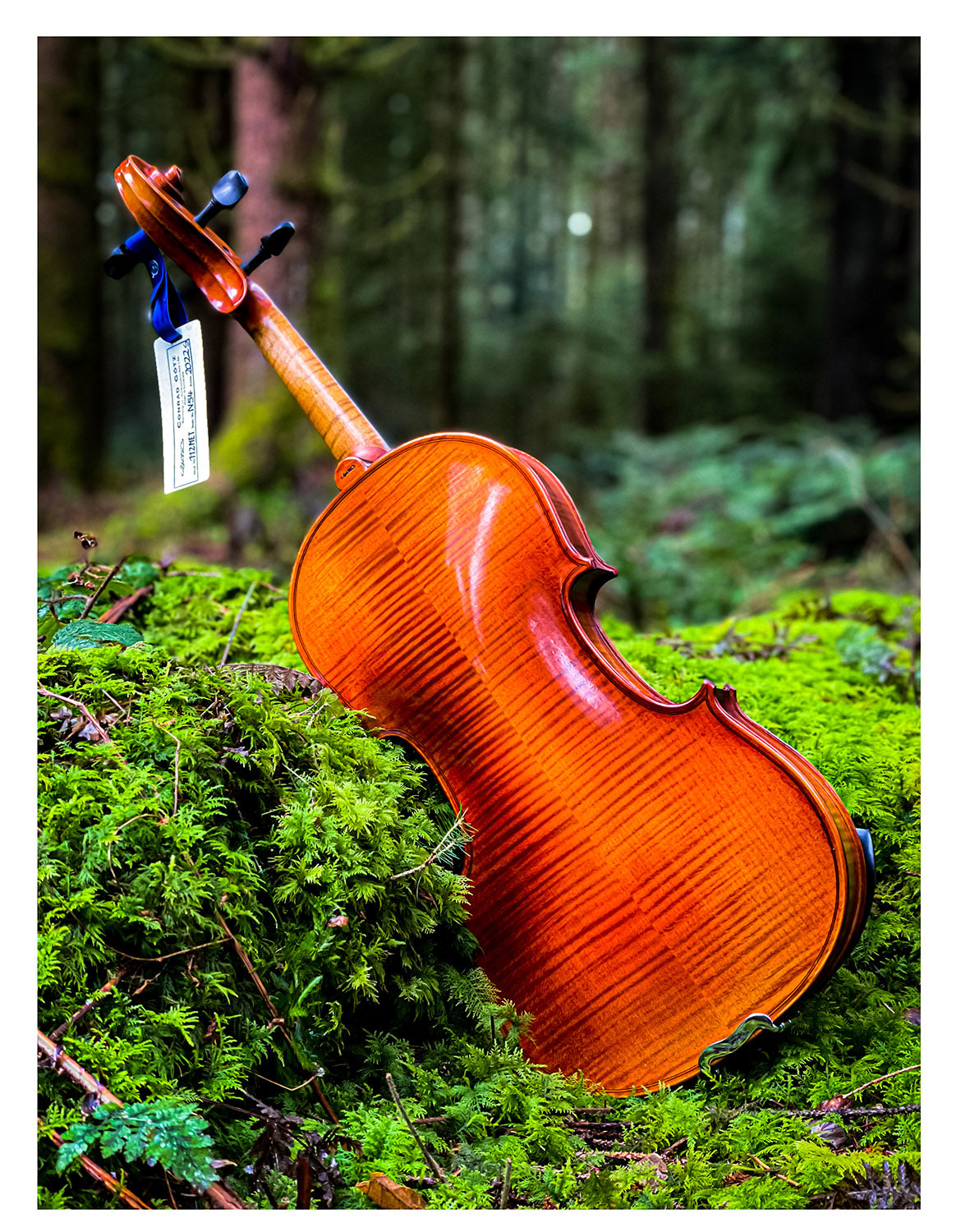 METROPOL Violin #112 MET