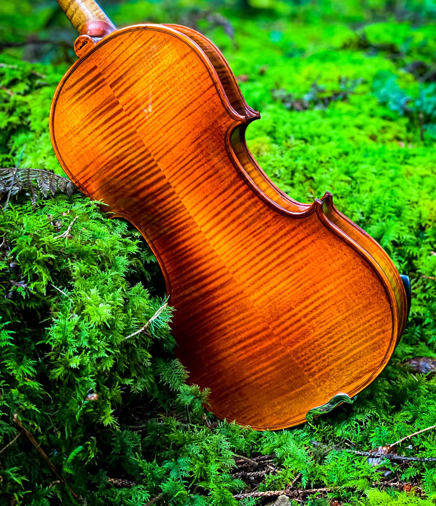 METROPOL Violin #130 MET